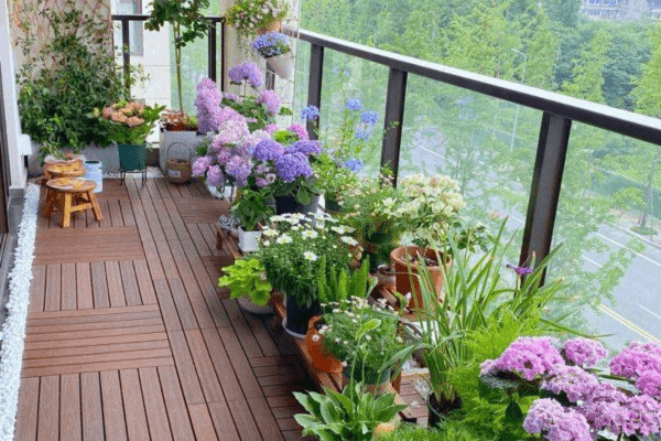 Các loại hoa đẹp trồng ban công