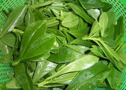 Rau sâm đất nấu canh đem lại vị ngọt và chua khi thưởng thức