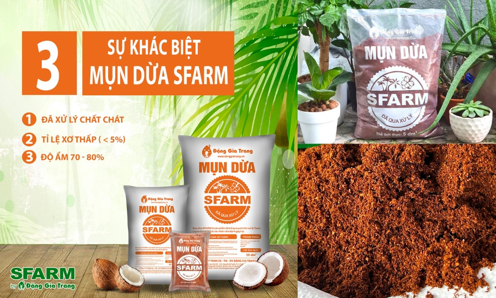Mụn dừa được dùng để cải thiện đất trồng cây