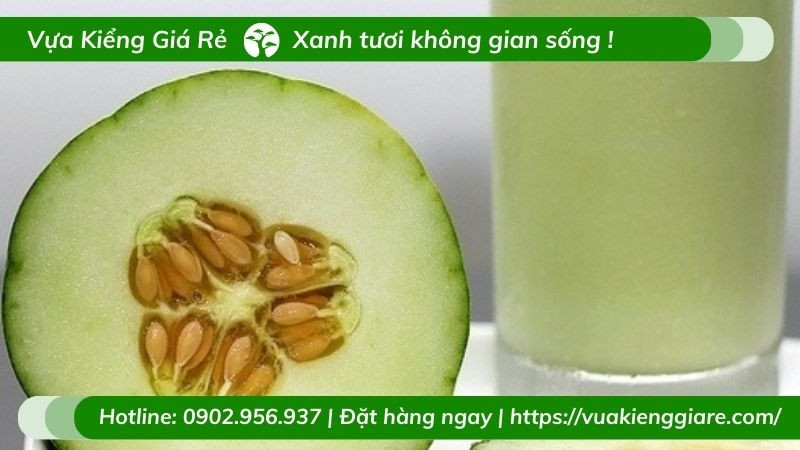 Nước ép hoặc sinh tố từ quả dưa tây