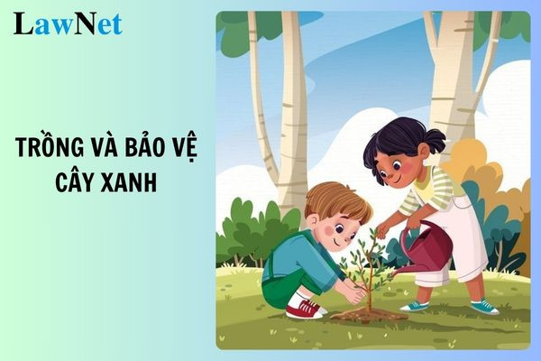 Hình ảnh cây xanh cho thấy vai trò quan trọng đối với môi trường