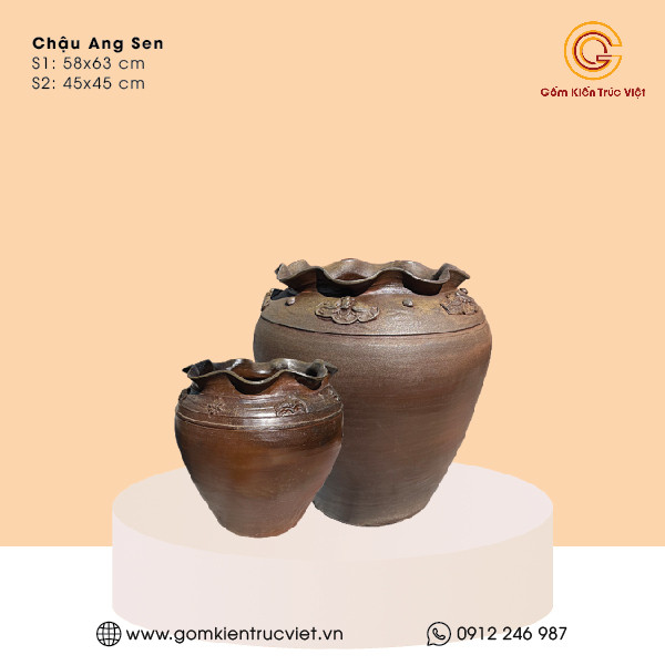 Chậu Ang Sen