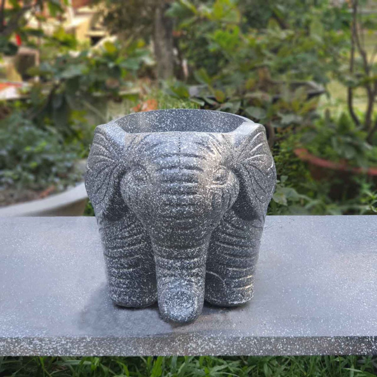 Hình ảnh chậu xi măng hình con voi
