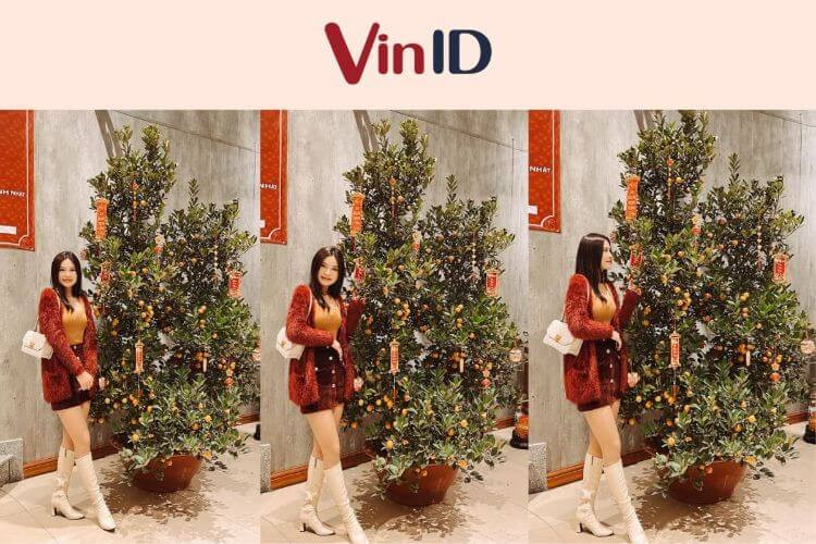 Cây quất ngày Tết với quả chín, lá xanh tượng trưng cho sự sung túc, tài lộc dồi dào