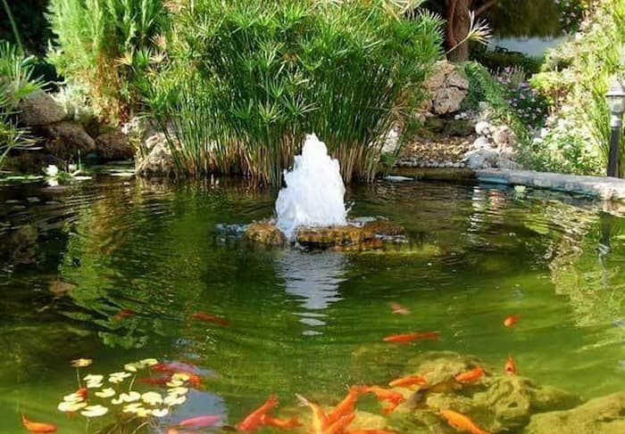 Mẫu đài phun nước đẹp cho hồ cá koi