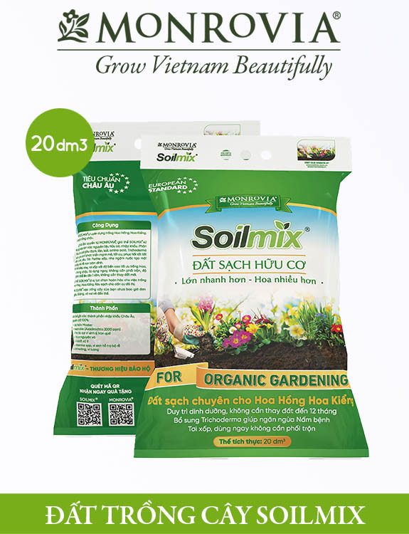 Đất trồng cây Soilmix được gợi ý cho trầu bà leo cột