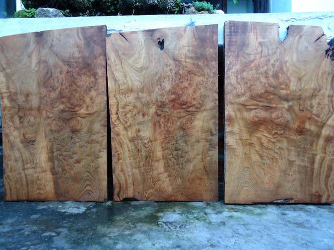 Khối gỗ xá xị tự nhiên trước khi chế tác