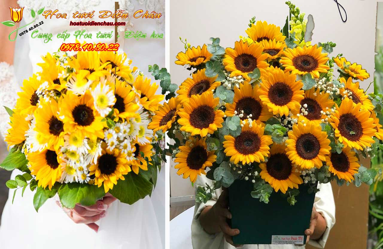 Một giỏ hoa hướng dương vàng tươi được cắm kết hợp với hoa cẩm chướng và lá xanh, tạo nên lẵng hoa hướng dương đẹp để bàn.