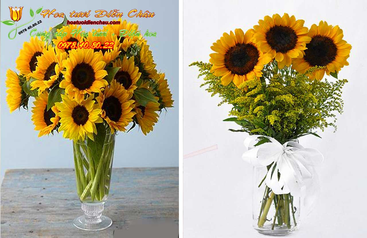 Bình hoa hướng dương cắm trong lọ thủy tinh, minh họa cách giữ hoa hướng dương tươi lâu bằng các mẹo đơn giản tại nhà.