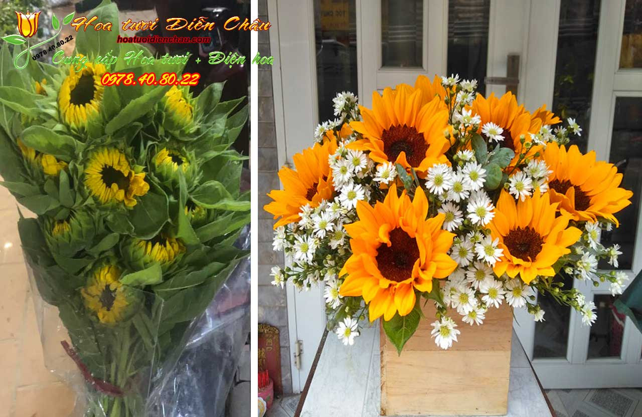 Hộp hoa hướng dương hình chữ nhật được cắm gọn gàng, kiểu cắm hoa hướng dương hiện đại và đơn giản.
