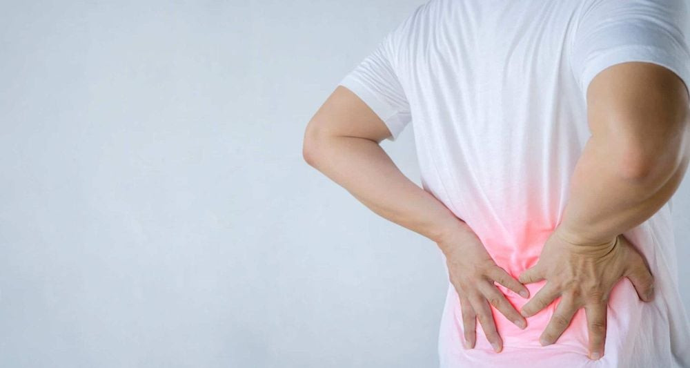 Cây xương rồng ba cạnh được sử dụng trong các bài thuốc dân gian trị đau lưng