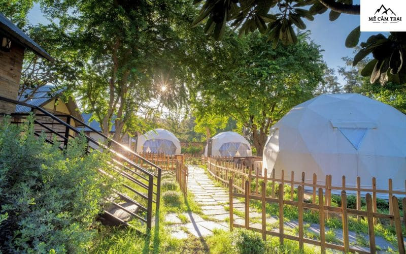 Lều camping có máy lạnh tại Lata Camping Cần Giờ với không gian cây xanh mát mẻ