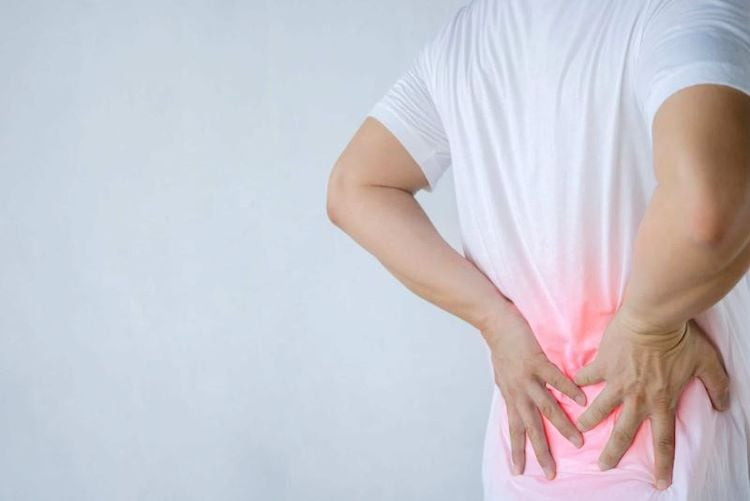 Trị gai cột sống đau nhức xương, thoái hóa cột sống là công dụng của cây xương khỉ