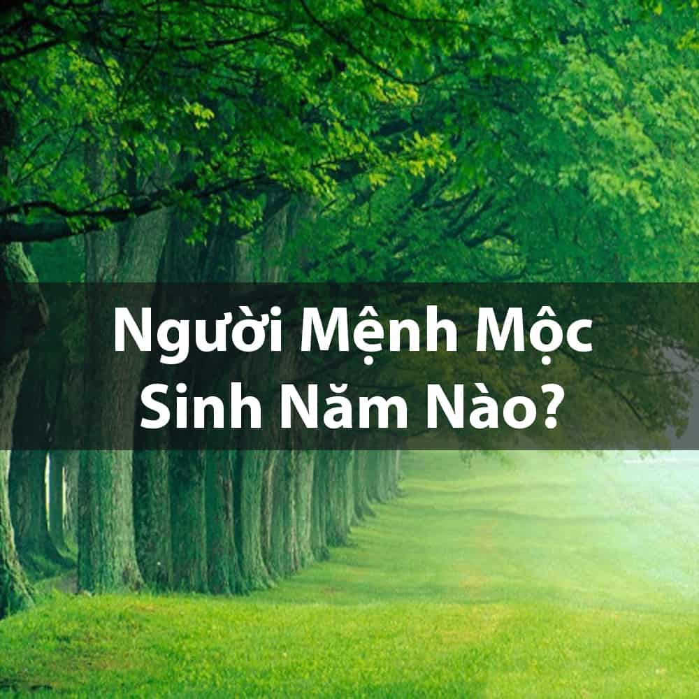 Hình ảnh minh họa về năm sinh của người mệnh Dương Liễu Mộc
