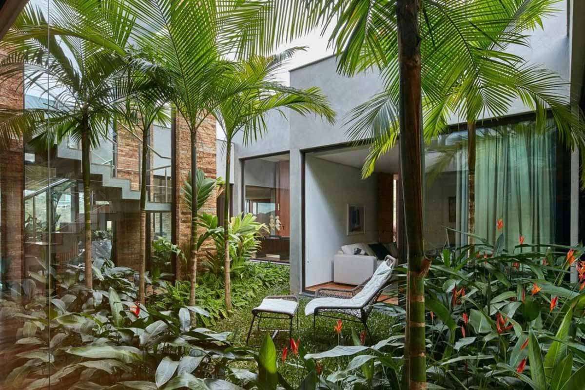 Những lợi ích thực tế khi trồng cau trước nhà