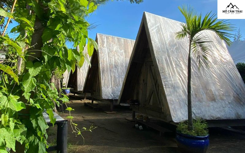 Thiết kế nhà gỗ và không gian xanh tại Tân Tân Homestay Cần Giờ