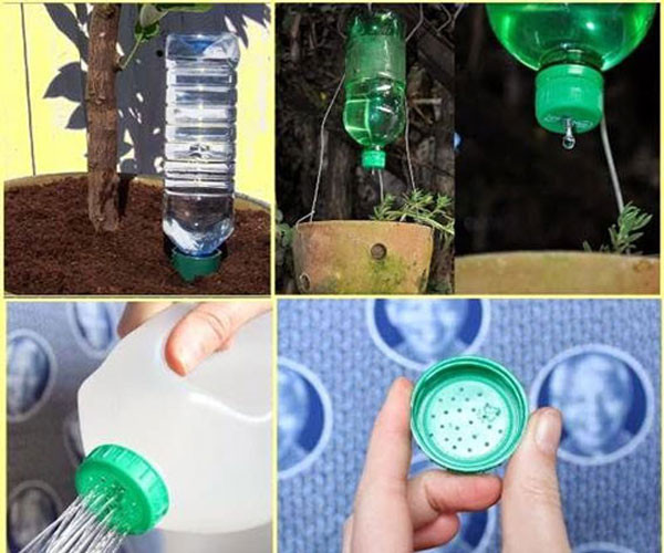 Tự chế bình tưới vòi sen giúp kiểm soát lượng nước, phù hợp cho cách trồng rau tại nhà.