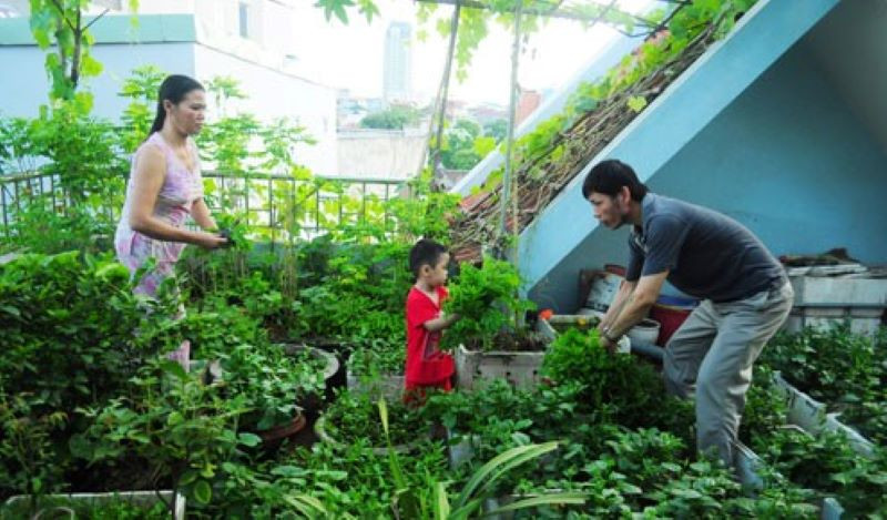 Giúp trẻ nhỏ thêm kỹ năng sống nhờ các hoạt động cùng gia đình