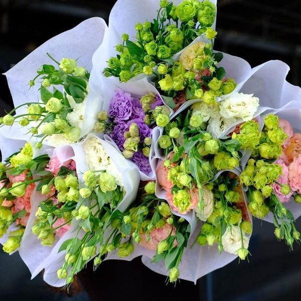 bó hoa bông cát tường cho dịp đặc biệt