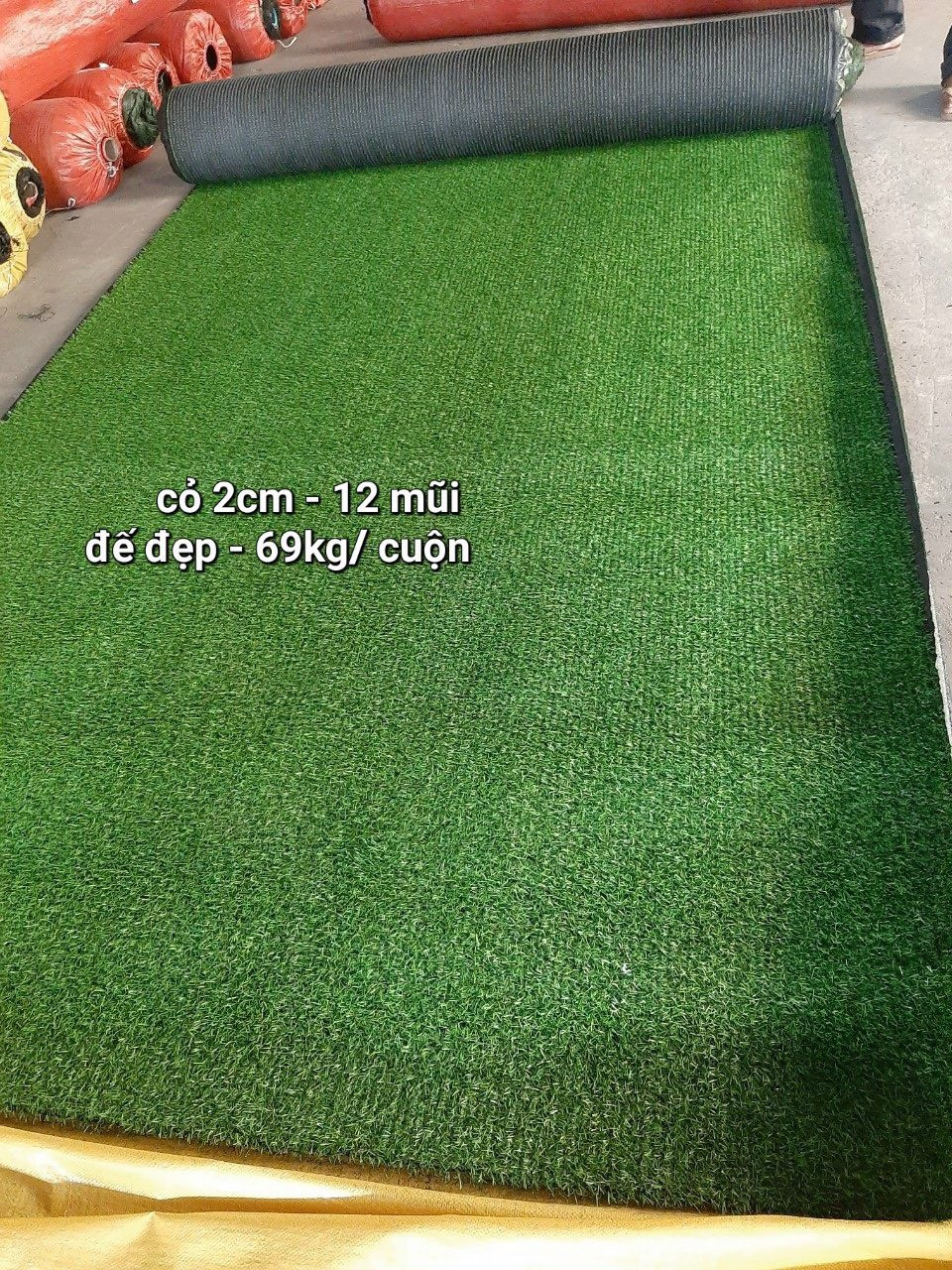 Thảm cỏ giả 2cm mua ở đâu giá tốt