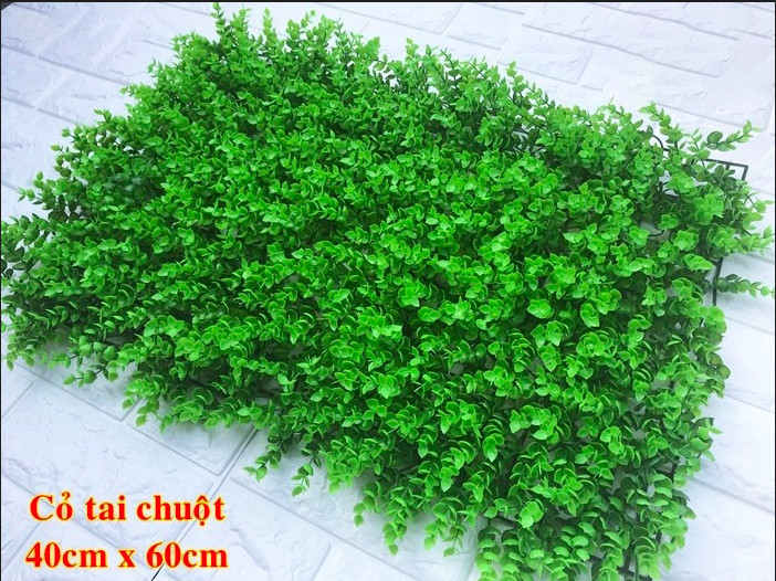Mua Cỏ nhựa Tai Chuột ở đâu giá rẻ