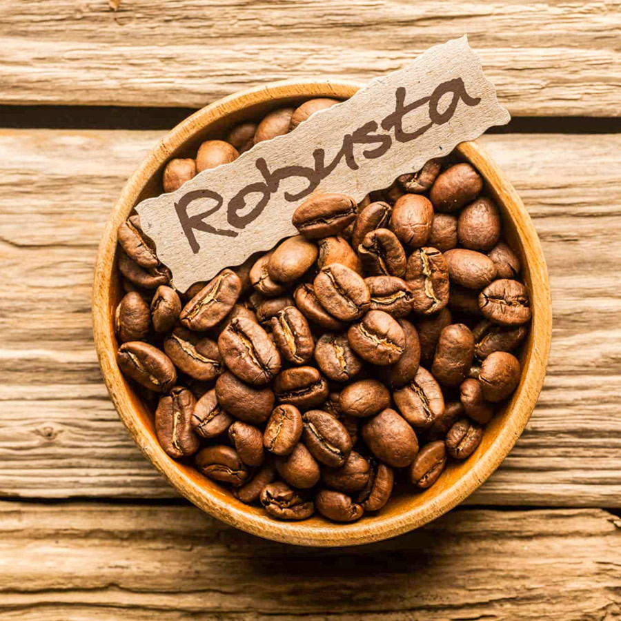 Hình ảnh cây cà phê Robusta, giống phát triển mạnh mẽ và có sản lượng cao tại Việt Nam.