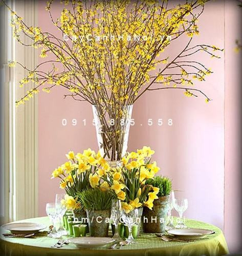 Cành mai Mỹ nhập khẩu, lựa chọn mới lạ trang trí dịp Tết Nguyên Đán
