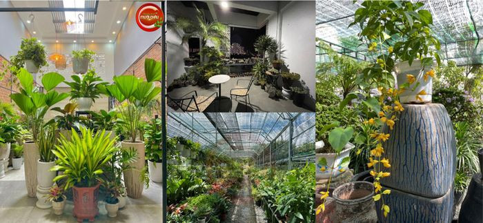 Quầy chậu cảnh và phụ kiện trồng cây tại Vườn Kiểng Mười Châu Nha Trang.