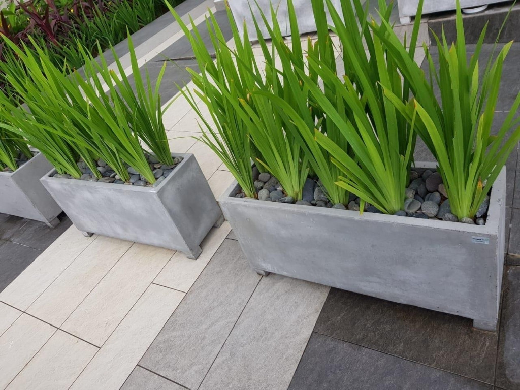 Ứng dụng chậu chữ nhật trồng cây cho không gian công cộng, khách sạn