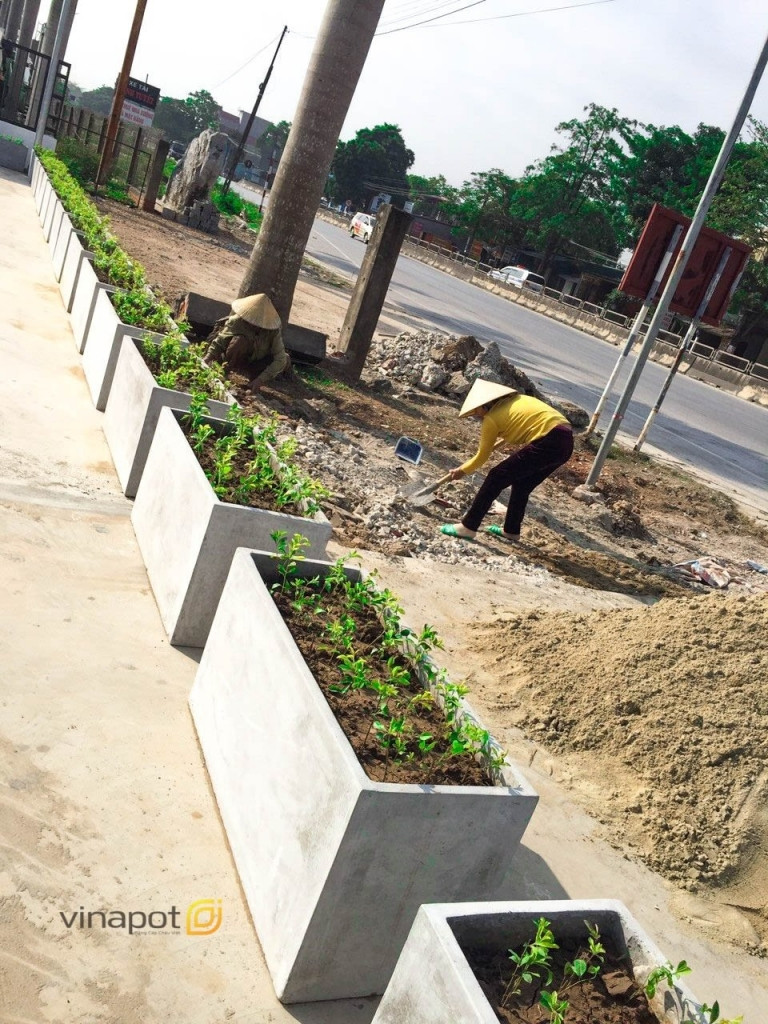 Chậu chữ nhật trồng cây cảnh trang trí lối đi khu đô thị