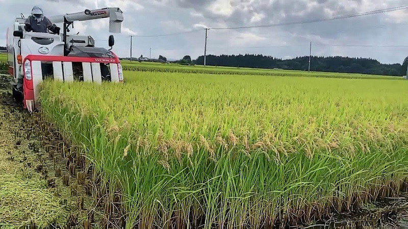 Hình ảnh minh họa về ngành nông nghiệp tại Nhật Bản