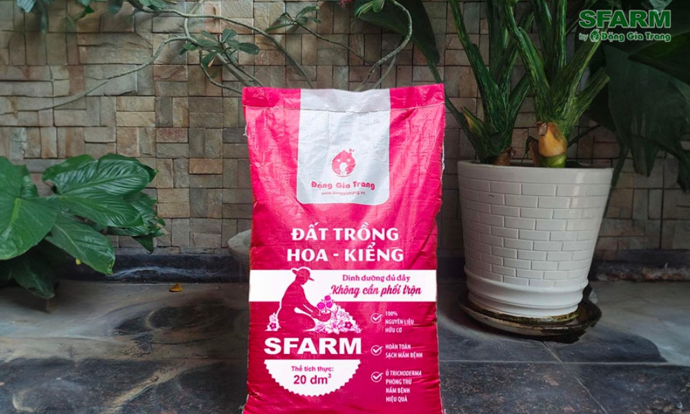Đất trồng phù hợp cho cây hướng dương