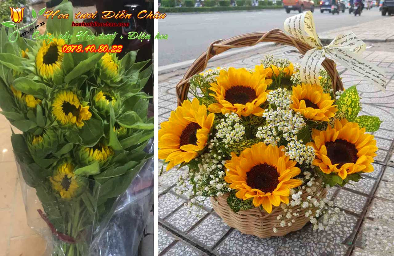 Mẫu cắm hoa hướng dương trong giỏ đẹp mắt