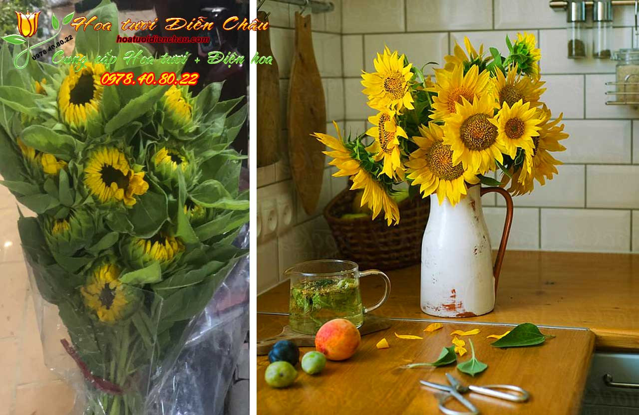 Cách cắm hoa hướng dương để bàn đẹp và đơn giản tại nhà