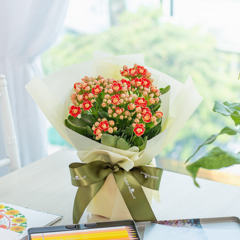Chậu Hoa Sống Đời Giấy Gói