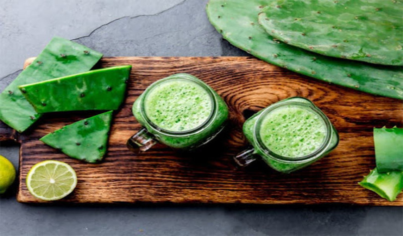 Các chế phẩm như nước ép, mứt, thạch từ xương rồng tai thỏ được ưa chuộng