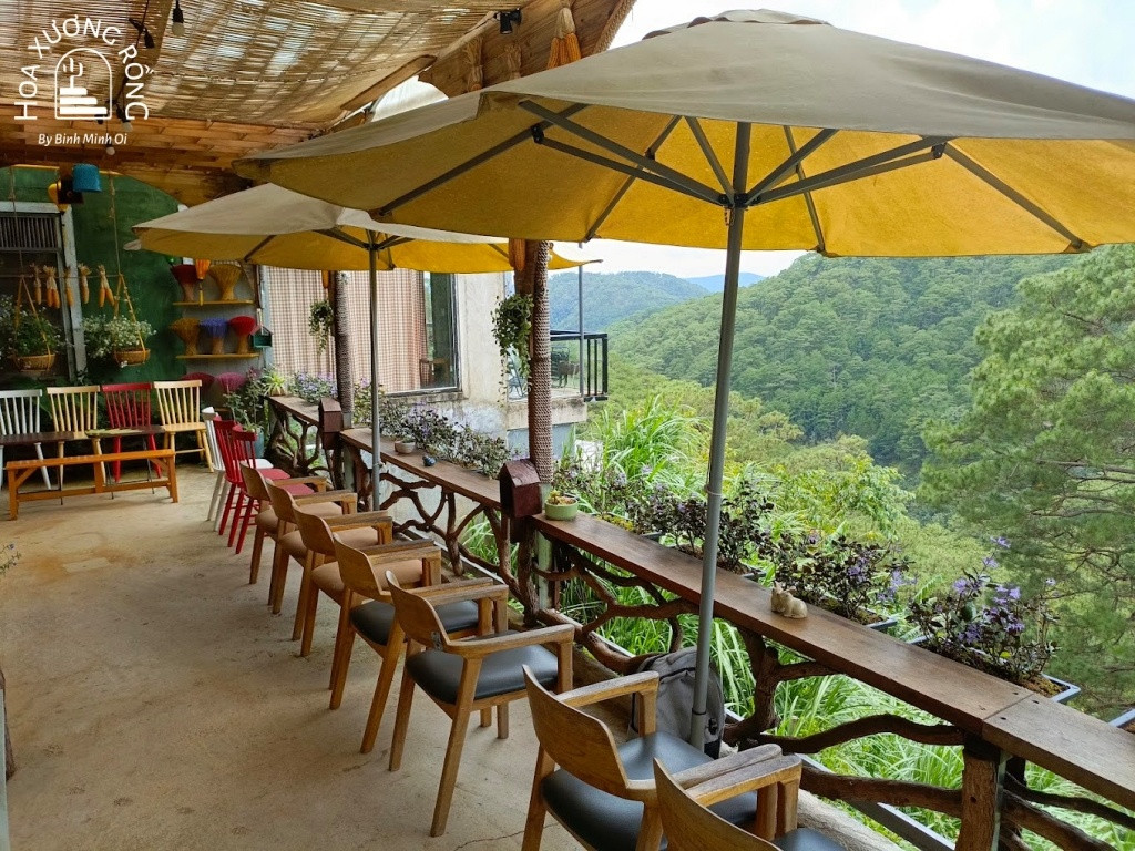 Ngắm rừng thông từ Thông Trước Nhà Cafe Đà Lạt