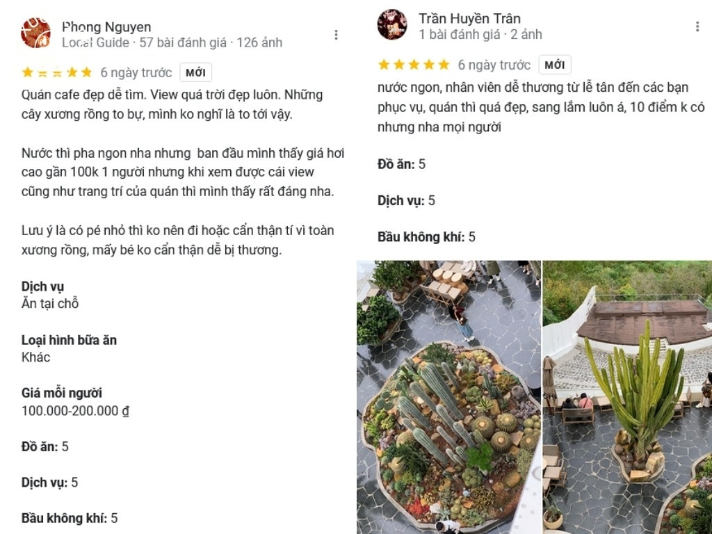 Tổng hợp đánh giá của khách hàng về Hoa Xương Rồng Cafe