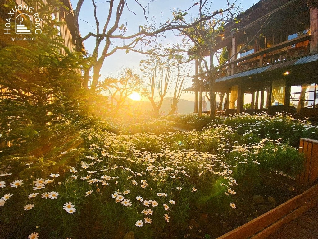 Bình Minh Ơi Coffee - Điểm đến săn mây và ngắm cảnh lý tưởng