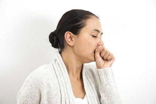 Dây bìm bìm - dược liệu hỗ trợ chữa ho và đờm