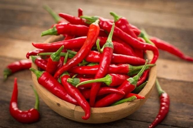 Quả ớt chỉ thiên chín đỏ mọng trên cành, sẵn sàng thu hoạch