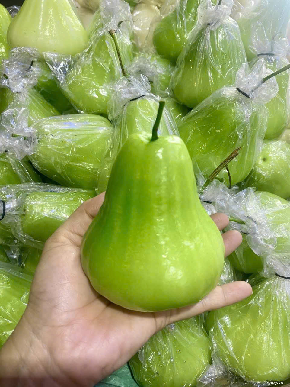 Tuyển chọn mận xanh Tam Hoa tươi ngon, đảm bảo chất lượng